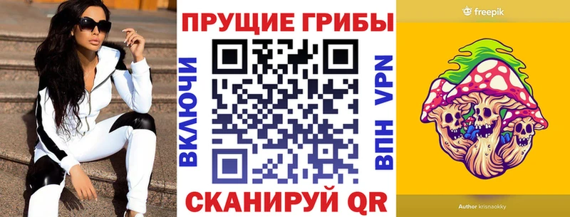 Купить  Зеленогорск  Галлюциногенные грибы Cubensis 